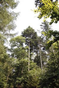 umweltschutz1